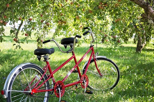 二人乗り用の自転車