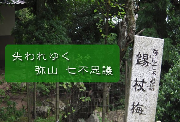 消滅危機!?残された宮島弥山の七不思議!!